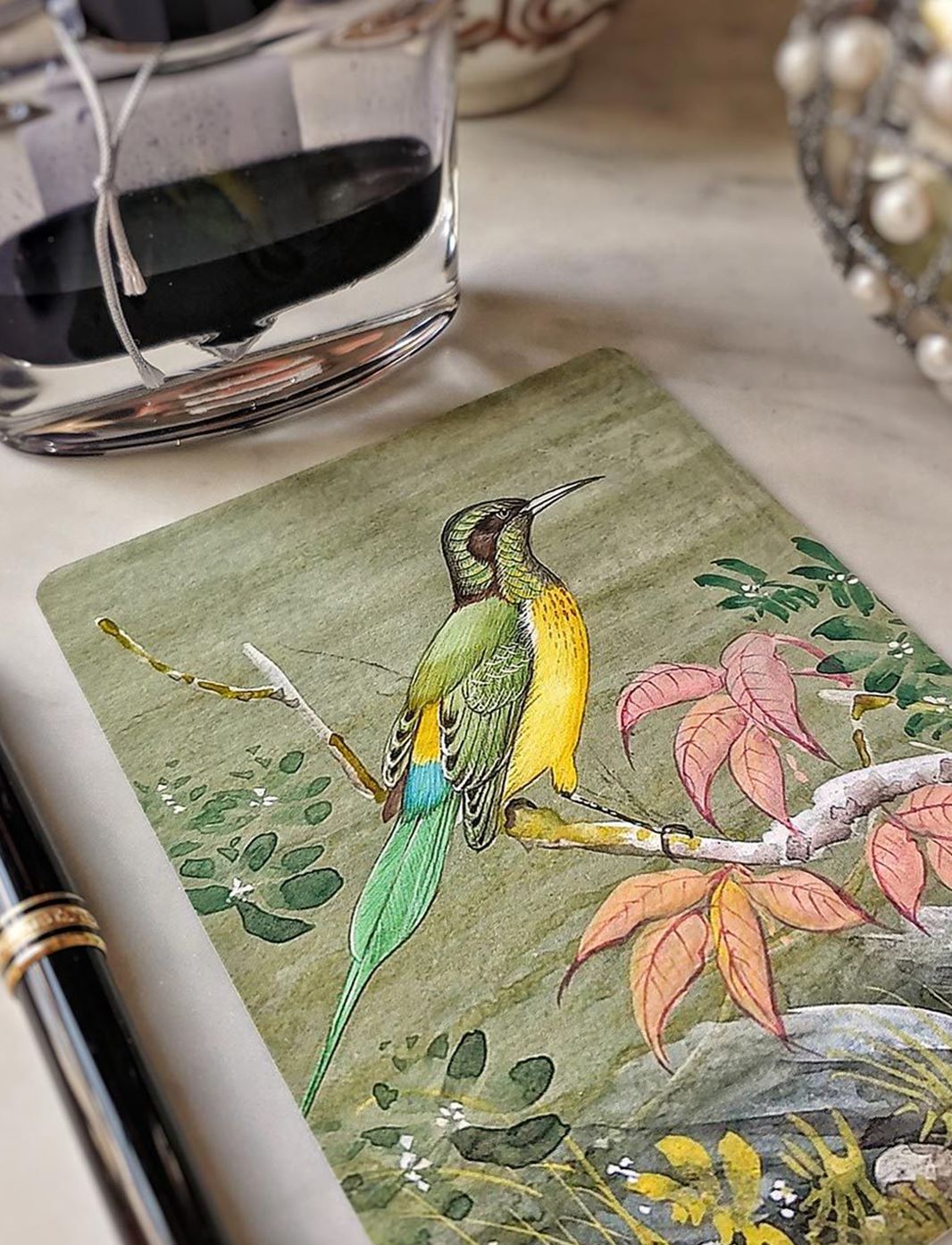Pack of Note Cards: Birds of India