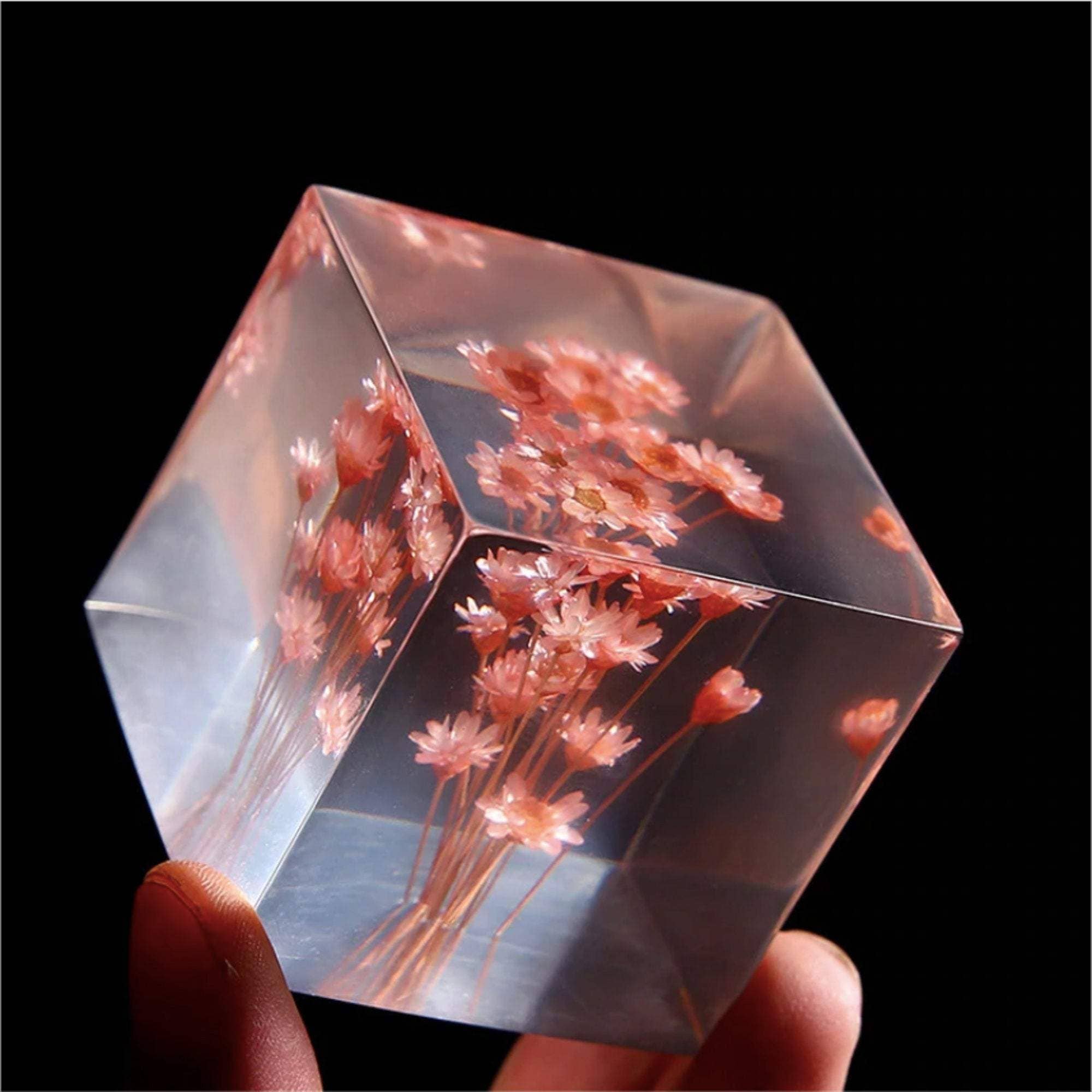 Real Daisy Crystal Cube